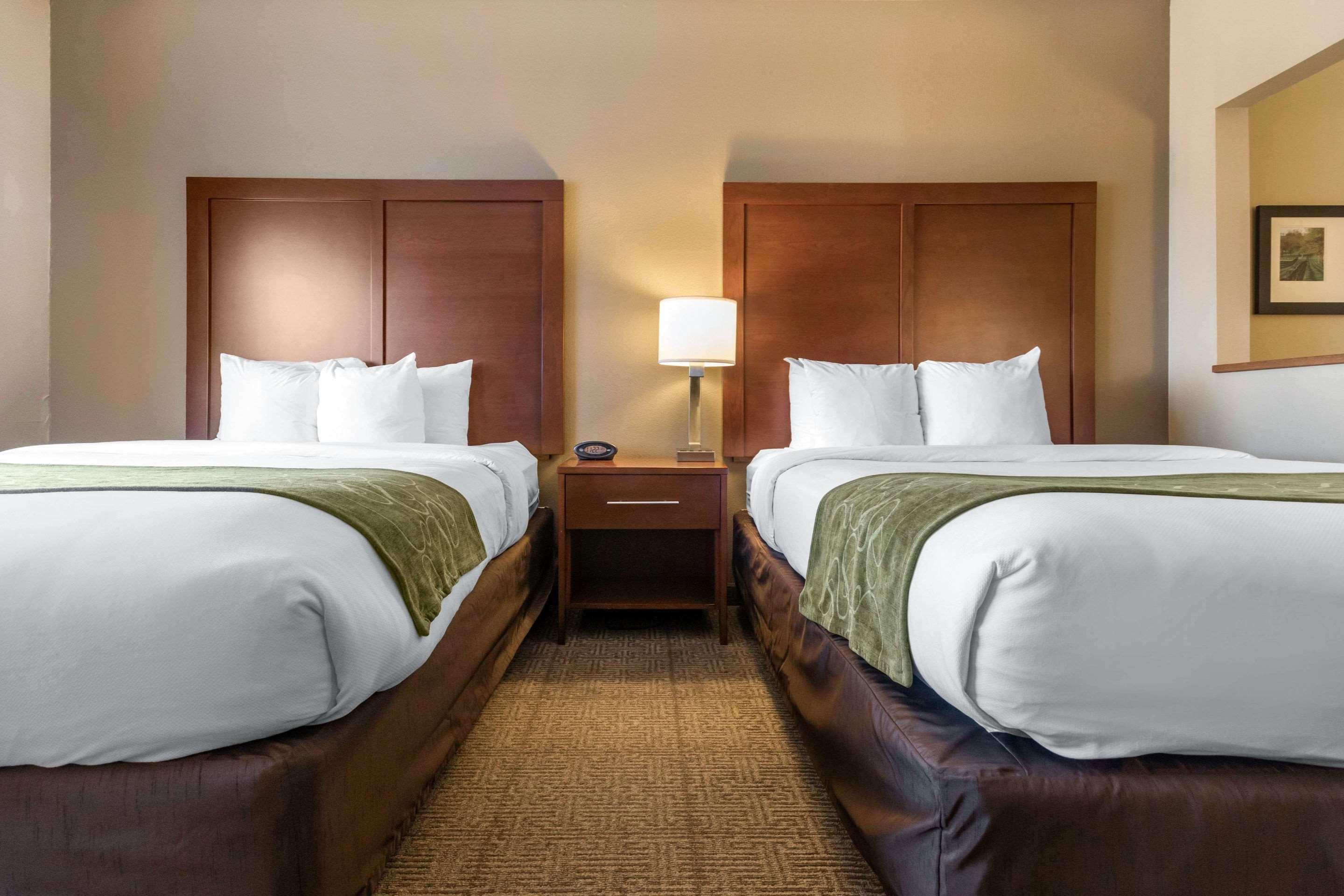 Comfort Suites Keeneland Lexington Exterior photo